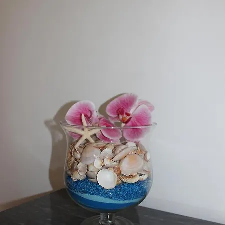 Orchidea *